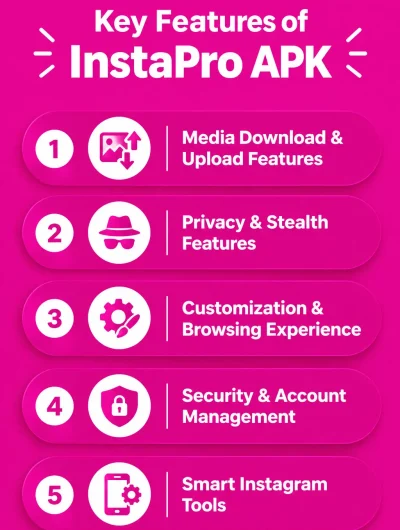 InstaPro APK Key Features Infographic